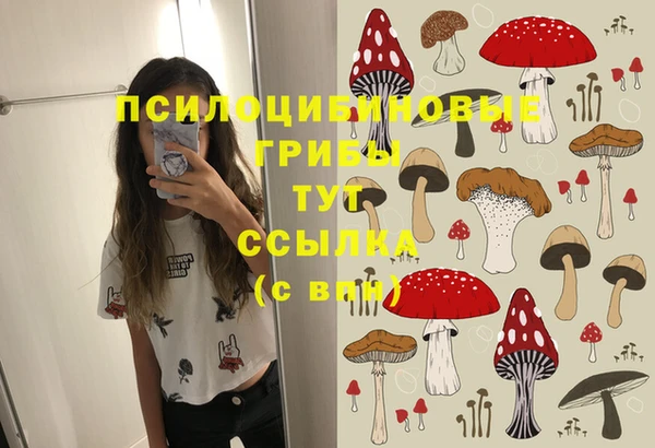 ECSTASY Козловка