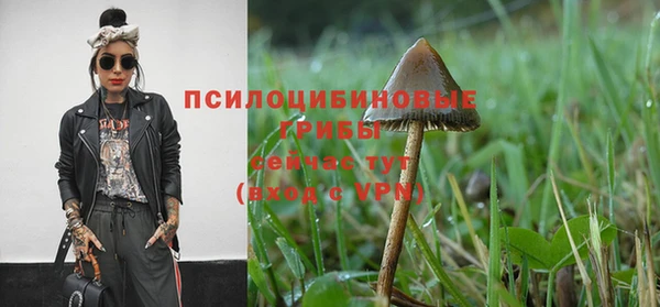 синтетический гашиш Козельск